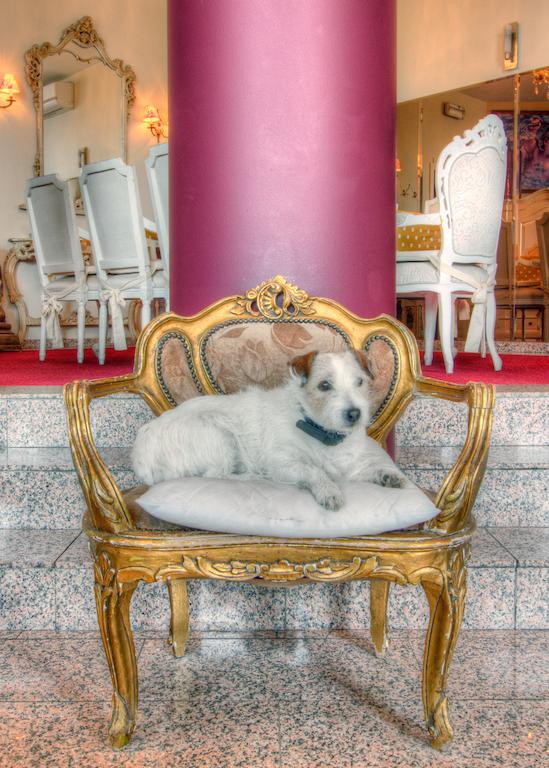 Hotel Antigone Anvers Dış mekan fotoğraf